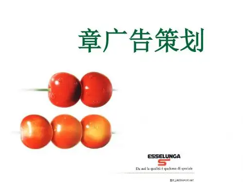广告策划方案(PPT 36张)