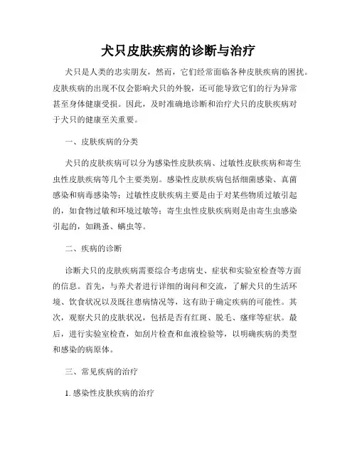犬只皮肤疾病的诊断与治疗