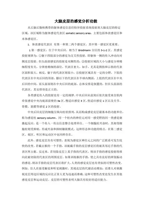 2021临床医学 大脑皮层的感觉分析功能人卫