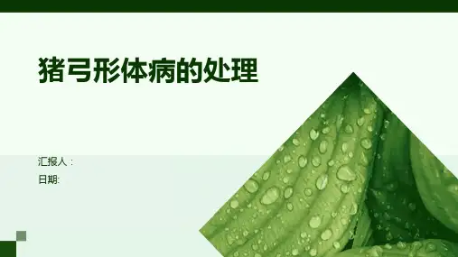 猪弓形体病的处理