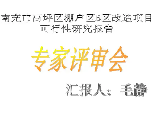 可行性研究报告 专家评审会PPT