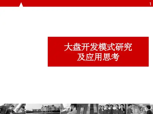 大盘-房地产项目开发模式研究及应用思考