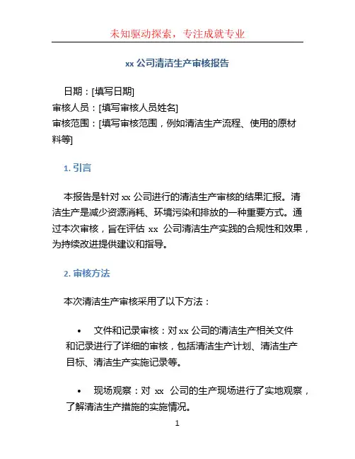 xx公司清洁生产审核报告