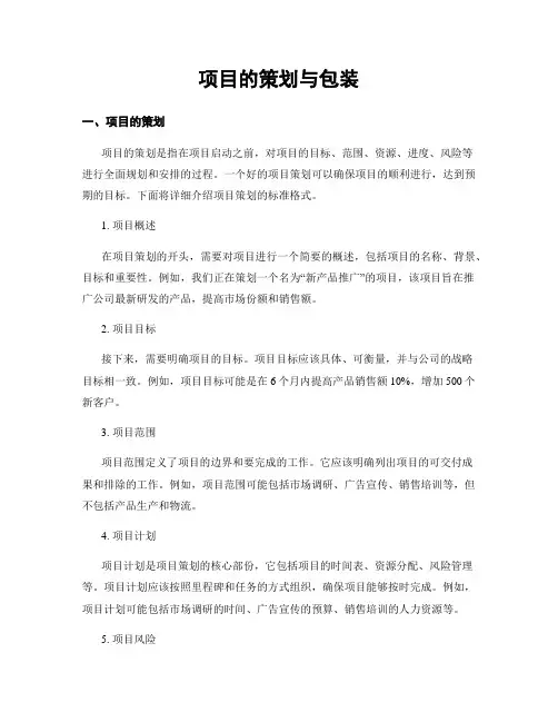 项目的策划与包装