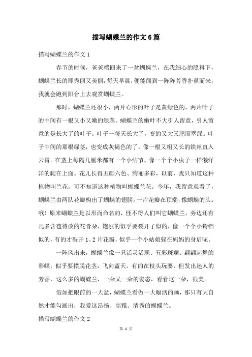 描写蝴蝶兰的作文6篇