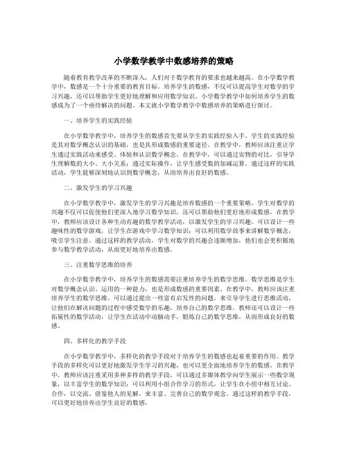 小学数学教学中数感培养的策略