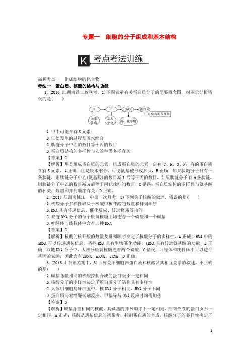 新高考高考生物二轮复习 考点考法训练 专题1 细胞的分子组成和基本结构