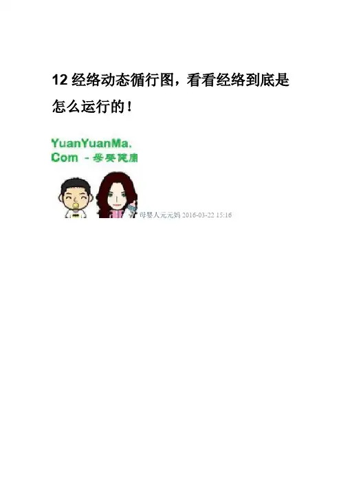 12经络动态循行图