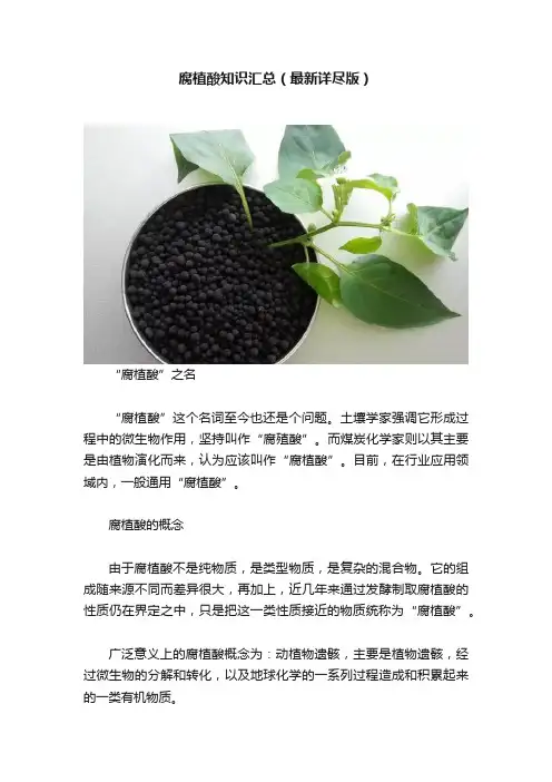 腐植酸知识汇总（最新详尽版）