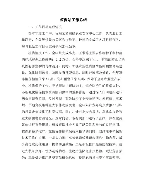 植保站工作总结