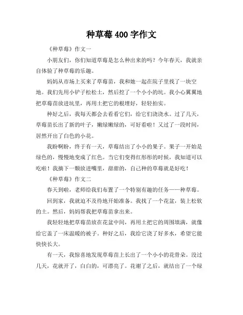 种草莓400字作文