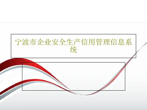 宁波市企业安全生产信用管理信息系统共26页PPT