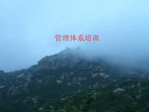 现代企业管理体系培训资料(ppt 83页)