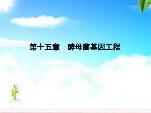 第十五章：酵母菌基因工程选编
