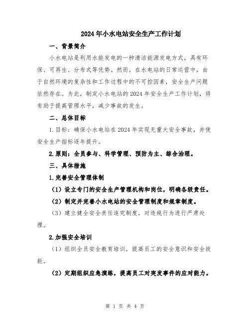 2024年小水电站安全生产工作计划