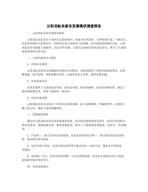 云阳龙缸农家乐发展现状调查报告