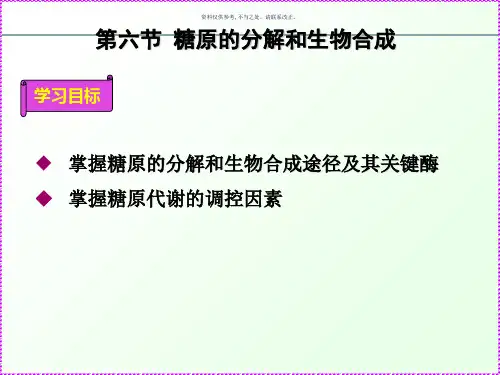 糖代谢糖原的分解和生物合成