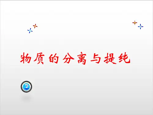 中考专题复习《物质的分离与提纯》PPT优秀课件