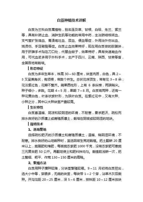 白芨种植技术详解