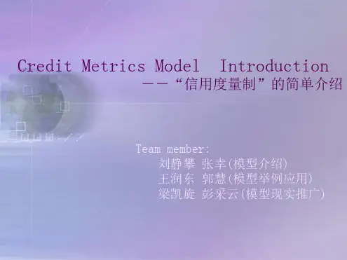 --信用度量制的简单介绍