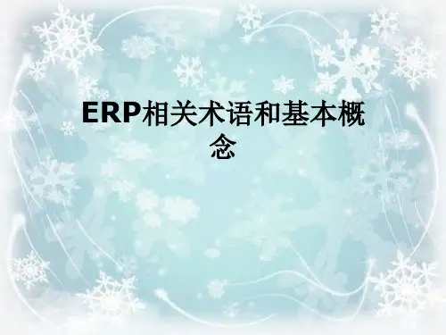ERP相关术语和基本概念