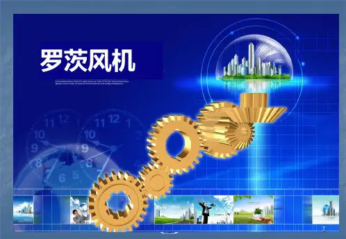 罗茨风机知识ppt课件