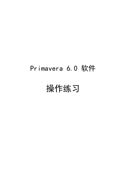 P6软件操作指导