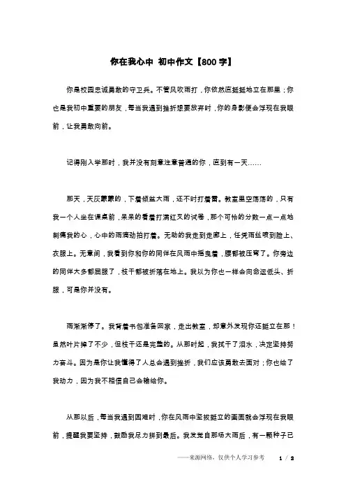 你在我心中 初中作文【800字】