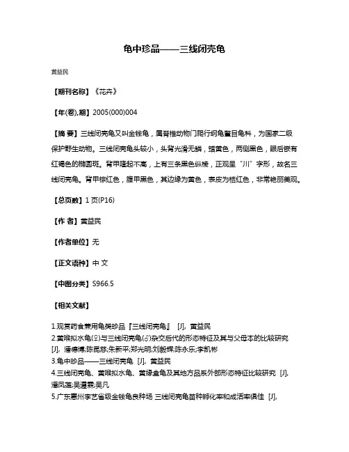 龟中珍品——三线闭壳龟