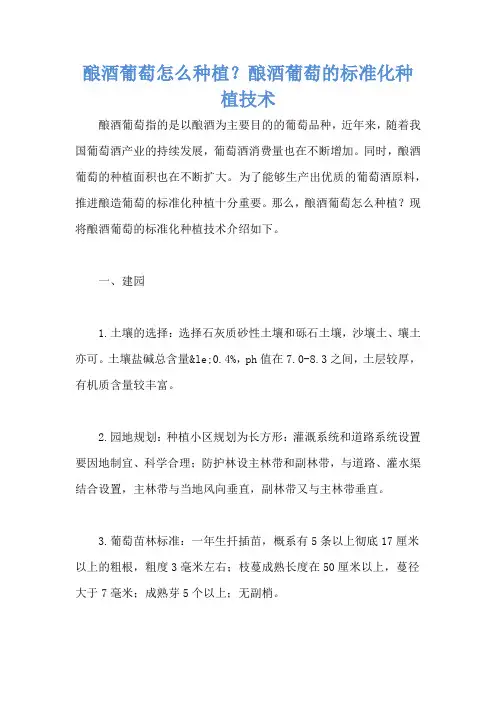 酿酒葡萄怎么种植？酿酒葡萄的标准化种植技术