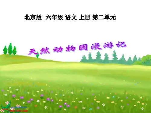 北京版六年级上册天然动物园漫游记2课件