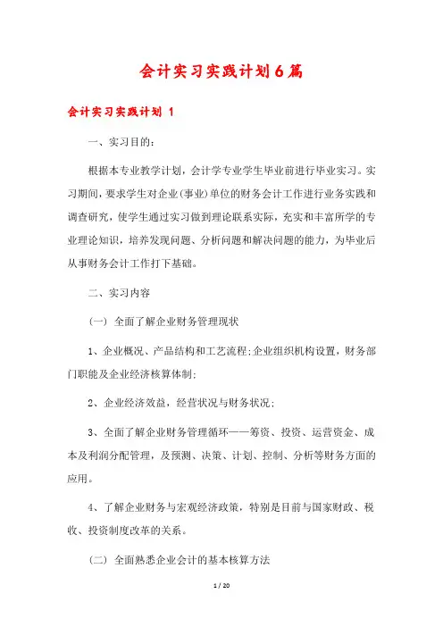 会计实习实践计划6篇