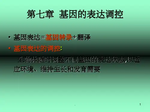 7 基因的表达调控ppt课件