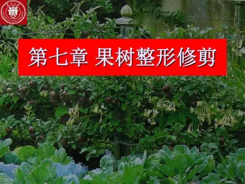 第七章+果树整形修剪