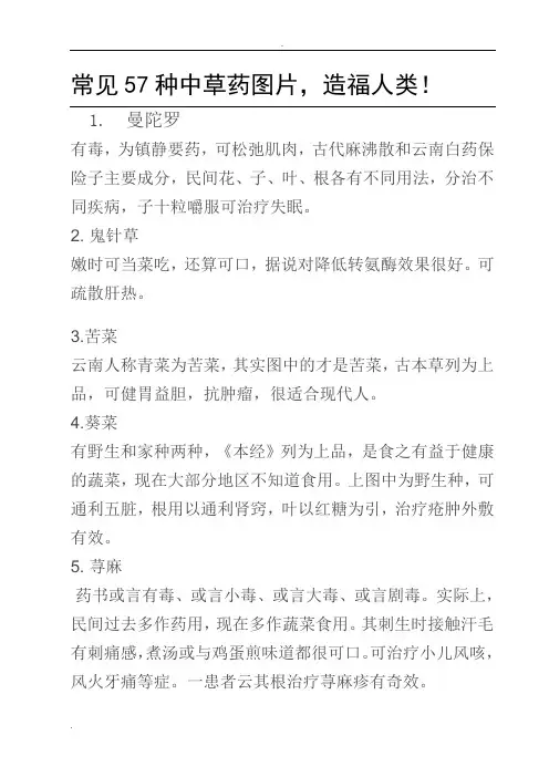 常见57种中草药图片大全