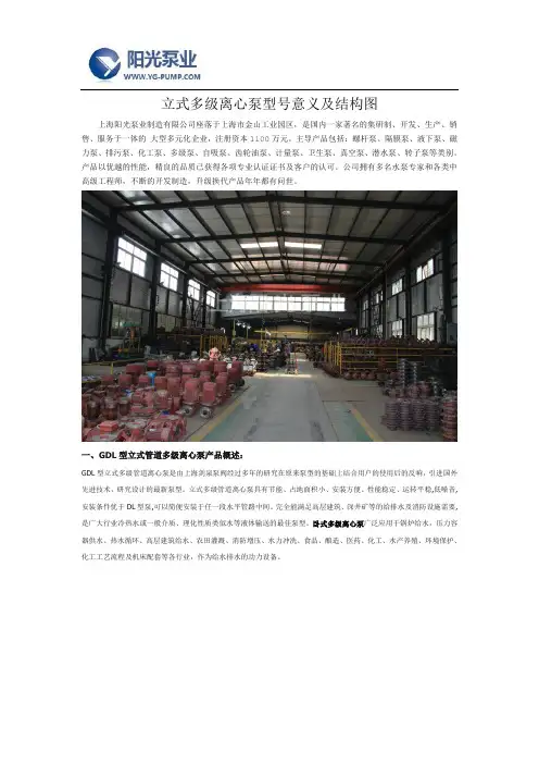 立式多级离心泵型号意义及结构图