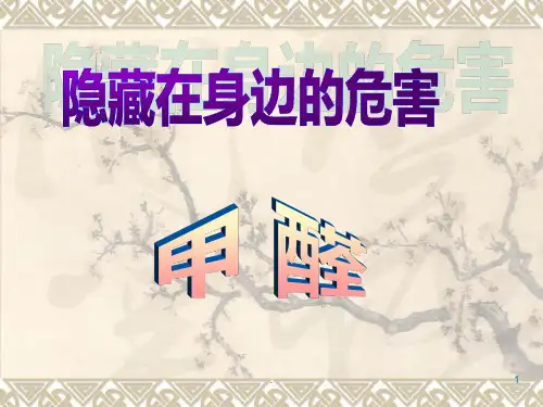 甲醛的PPT课件
