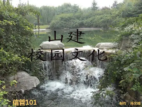 毛概调查研究报告PPT