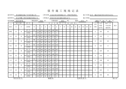 强 夯 施 工 现 场 记 录
