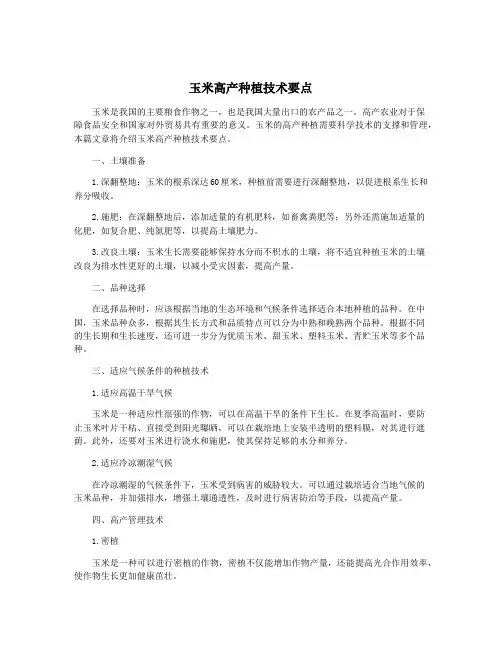 玉米高产种植技术要点