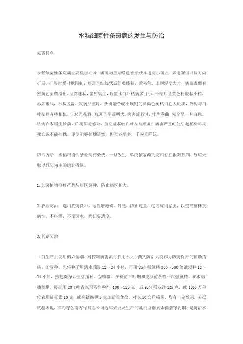 水稻细菌性条斑病的发生与防治