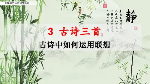 部编版六年级语文下册第3课《古诗三首》重点知识梳理(古诗中如何运用联想)