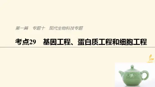 高三生物二轮专题复习考点29 基因工程、蛋白质工程和细胞工程