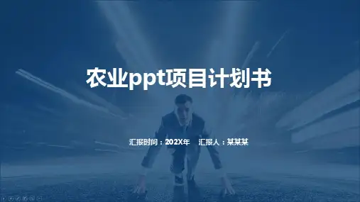 农业ppt项目计划书