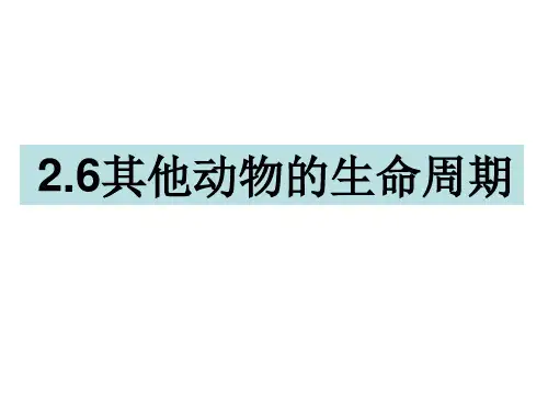 三年级下册科学课件-2.6其他动物的生命周期 教科版(共14张PPT)