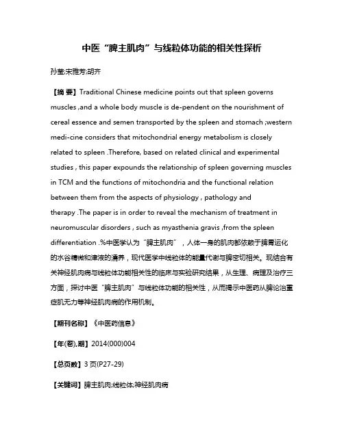 中医“脾主肌肉”与线粒体功能的相关性探析