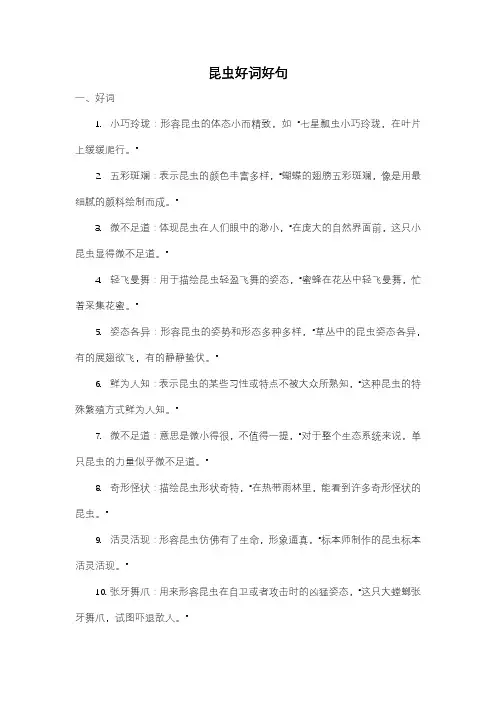 昆虫好词好句