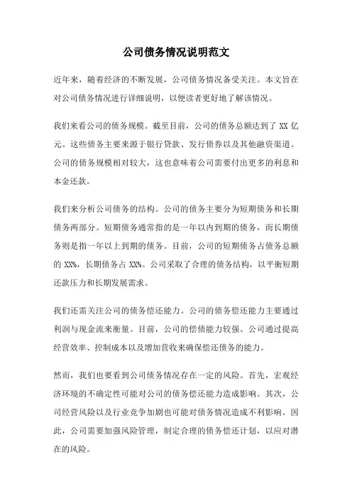 公司债务情况说明范文