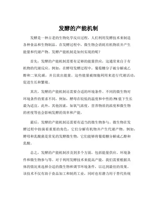 发酵的产能机制
