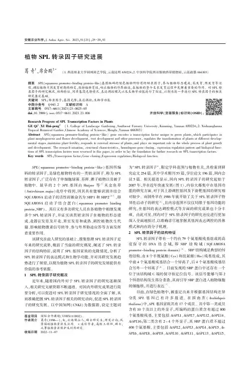 植物SPL_转录因子研究进展